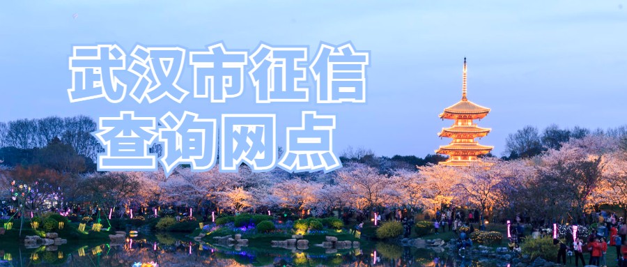 武汉征信查询