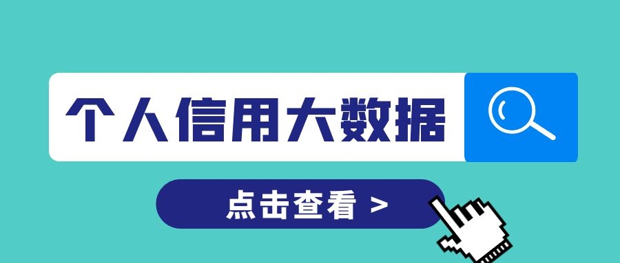 个人信用大数据